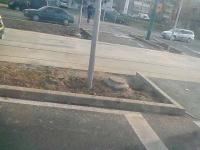 Imagine atasata: VID_20151114_131342 29.jpg